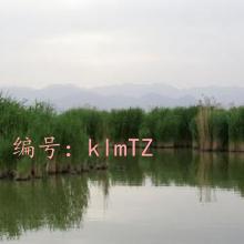 ջ