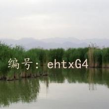 ջ